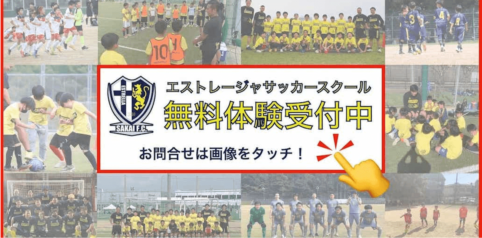 堺 Fc エストレージャ 堺 Fc エストレージャ